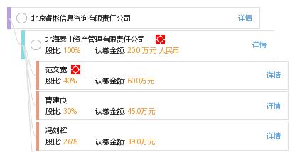 北京睿彬信息咨詢有限責任公司 引領信息技術咨詢服務新篇章